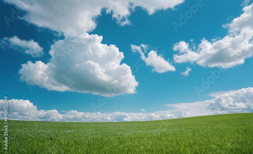 Panoramic Natural Landscape Green Grass Field  Blue Sky  and Mountains in Background  Summer Spring Meadow