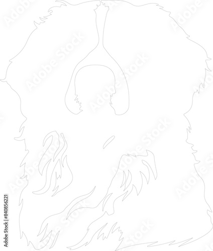 Bernese Mountain Dog outline