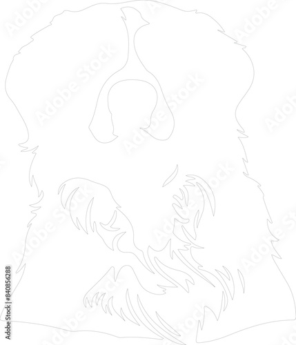 Bernese Mountain Dog outline