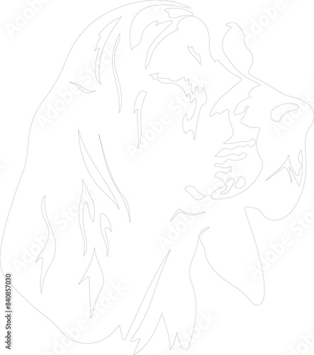 Bloodhound outline