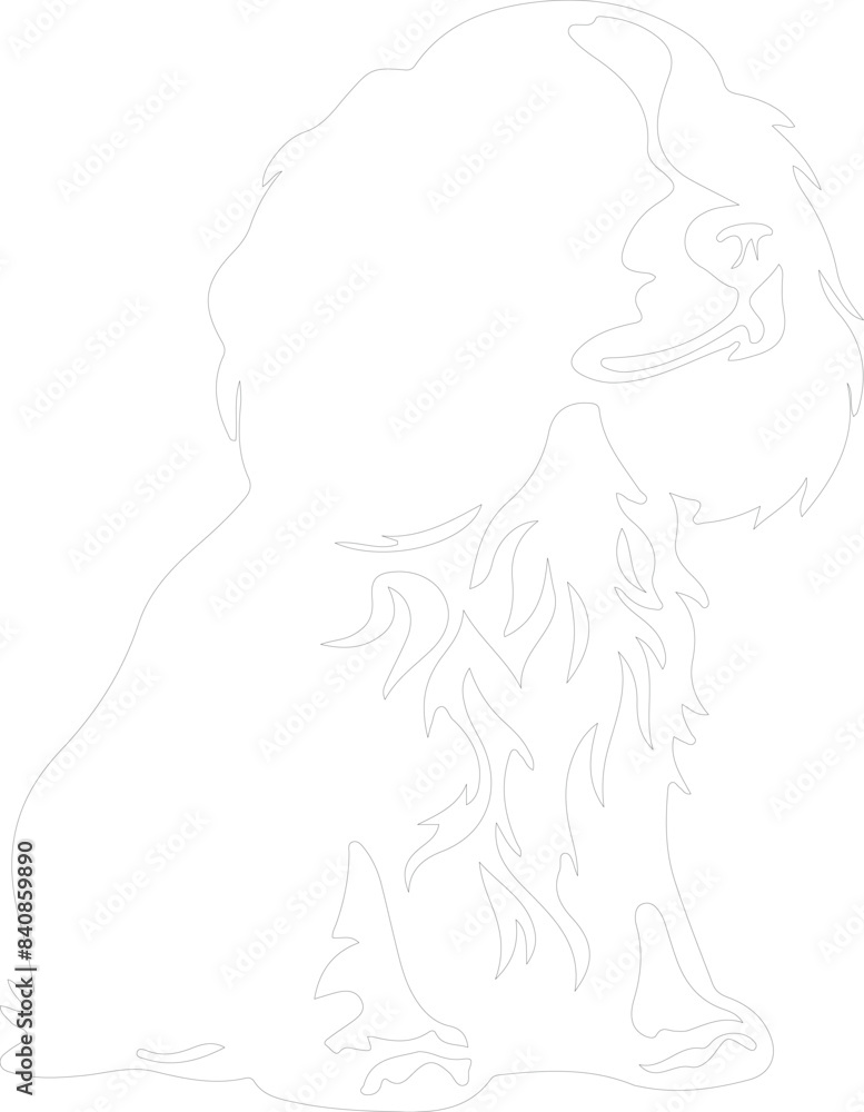 Cavalier King Charles Spaniel outline Cavalier King Charles Spaniel outline