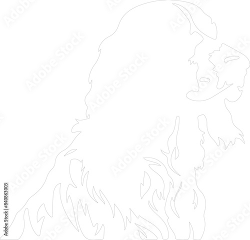English Setter outline