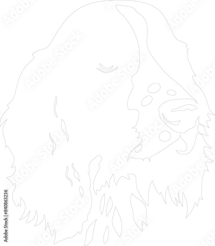 English Springer Spaniel outline