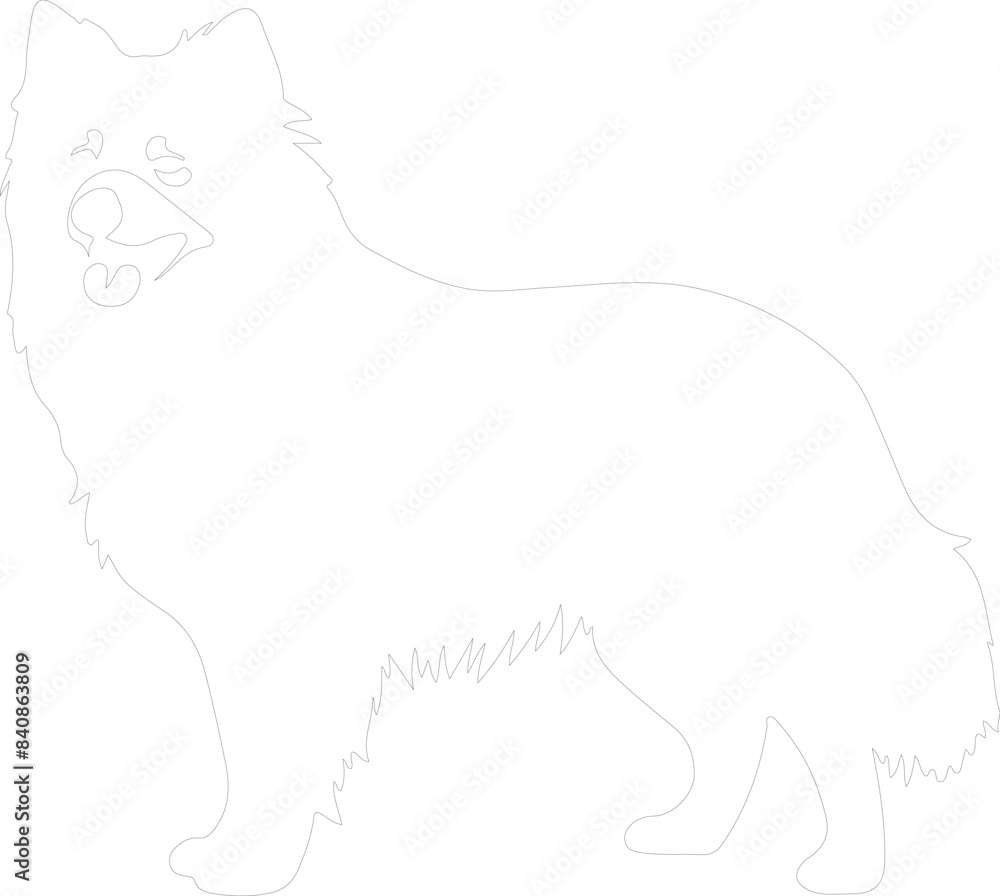 Finnish Lapphund outline Finnish Lapphund outline