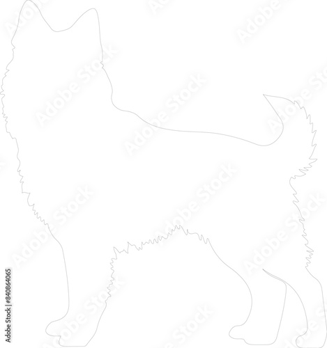 Finnish Spitz outline
