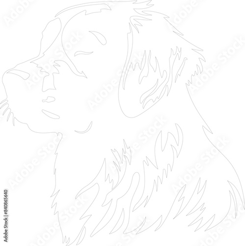 Golden Retriever outline