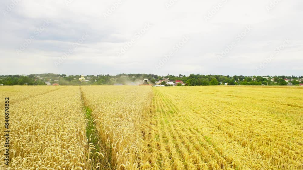 A combine somewhere far away collects wheat and dust rises from it. Behind the field there is a beautiful view of the village. High quality 4k footage A combine somewhere far away collects wheat and dust rises from it. Behind the field there is a beautiful view of the village. High quality 4k footage