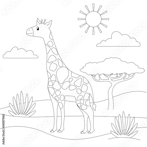 giraffe