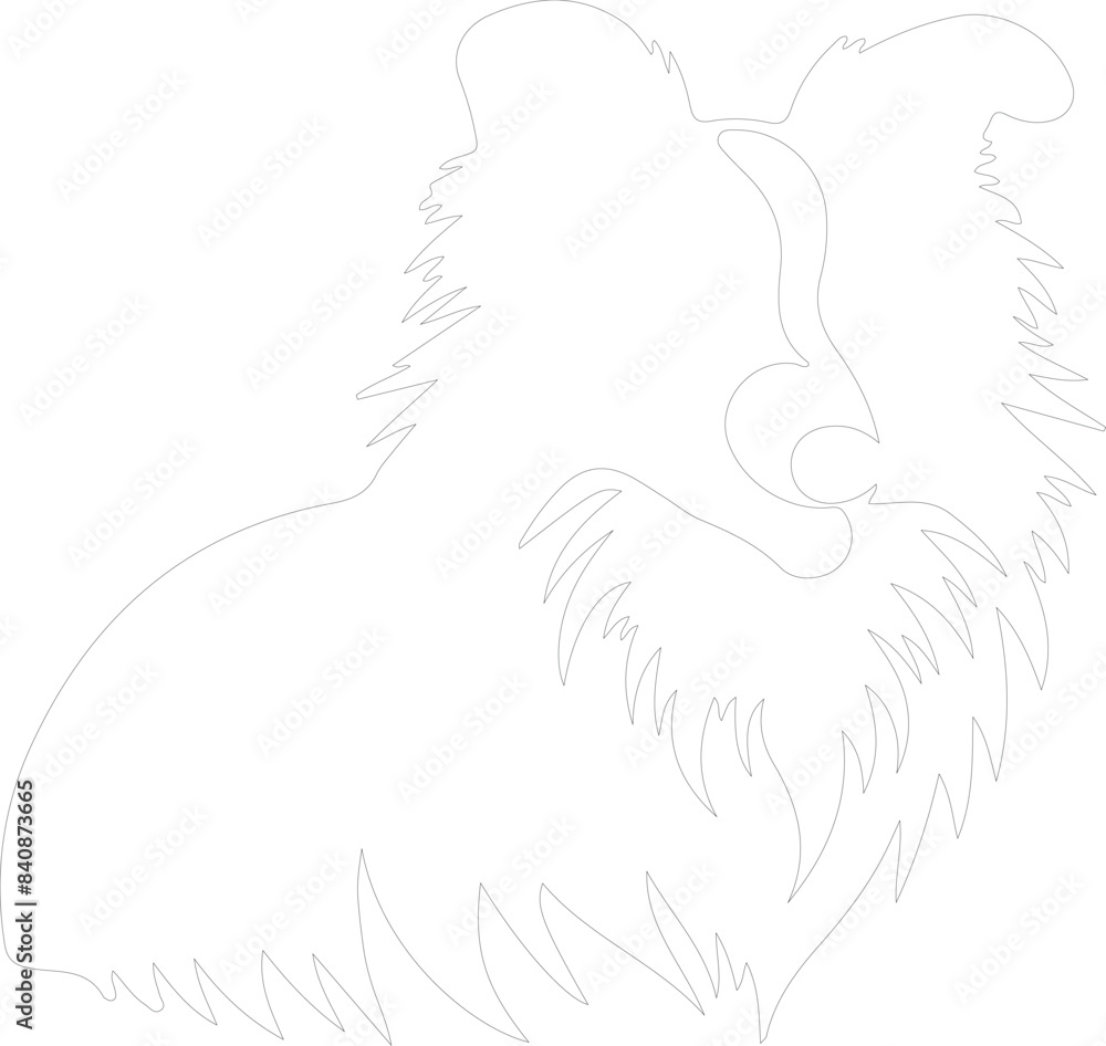 Shetland Sheepdog outline Shetland Sheepdog outline
