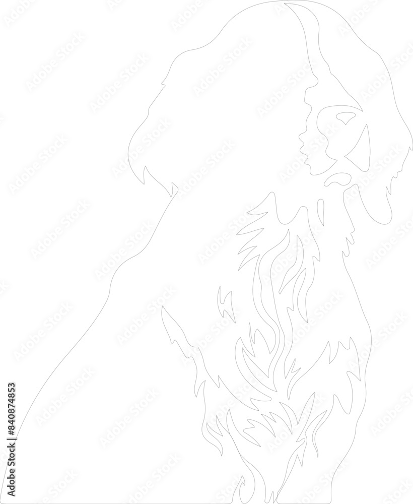 Small Munsterlander Pointer outline