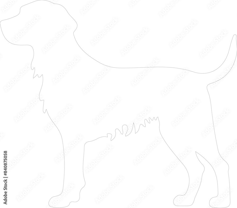 Small Munsterlander Pointer outline