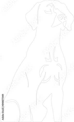 Weimaraner outline