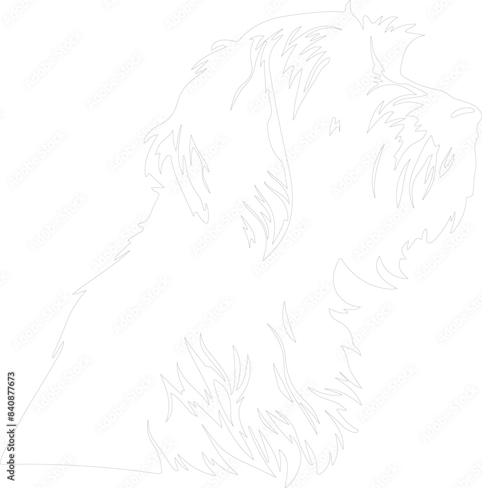 Wirehaired Pointing Griffon outline Wirehaired Pointing Griffon outline