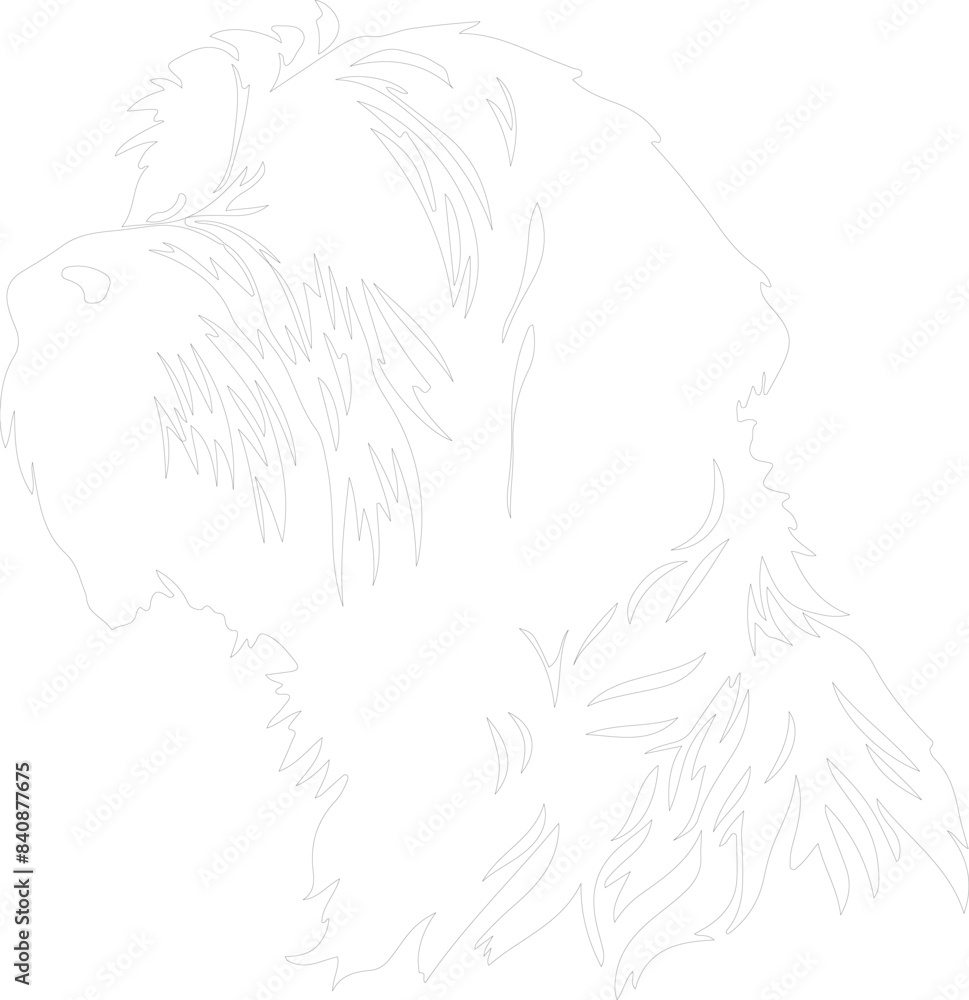 Wirehaired Pointing Griffon outline Wirehaired Pointing Griffon outline