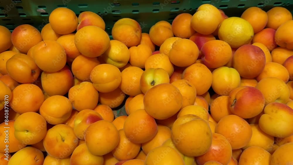 Bright orange apricots piled high in a green plastic crate, showcasing their smooth skin and vibrant color, freshly picked and ready for purchase. Bright orange apricots piled high in a green plastic crate, showcasing their smooth skin and vibrant color, freshly picked and ready for purchase.