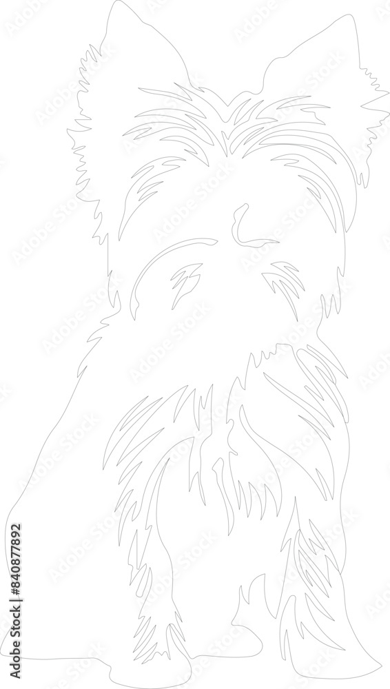 Yorkshire Terrier outline Yorkshire Terrier outline