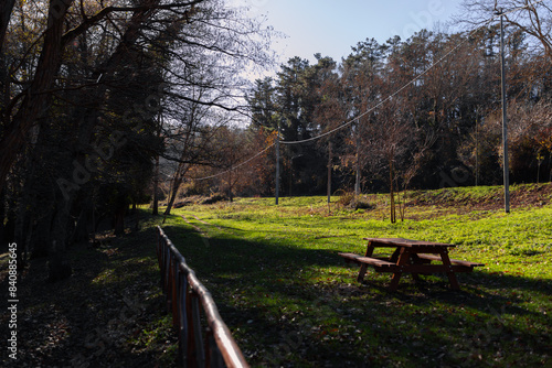 autumn in the park