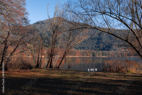 autumn lake forest