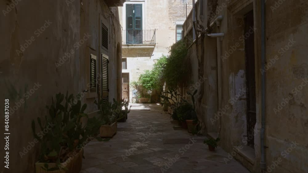 A narrow alleyway in lecce, italy, puglia region, featuring old stone buildings, potted cacti, open windows, and vibrant greenery under the bright daylight. A narrow alleyway in lecce, italy, puglia region, featuring old stone buildings, potted cacti, open windows, and vibrant greenery under the bright daylight.