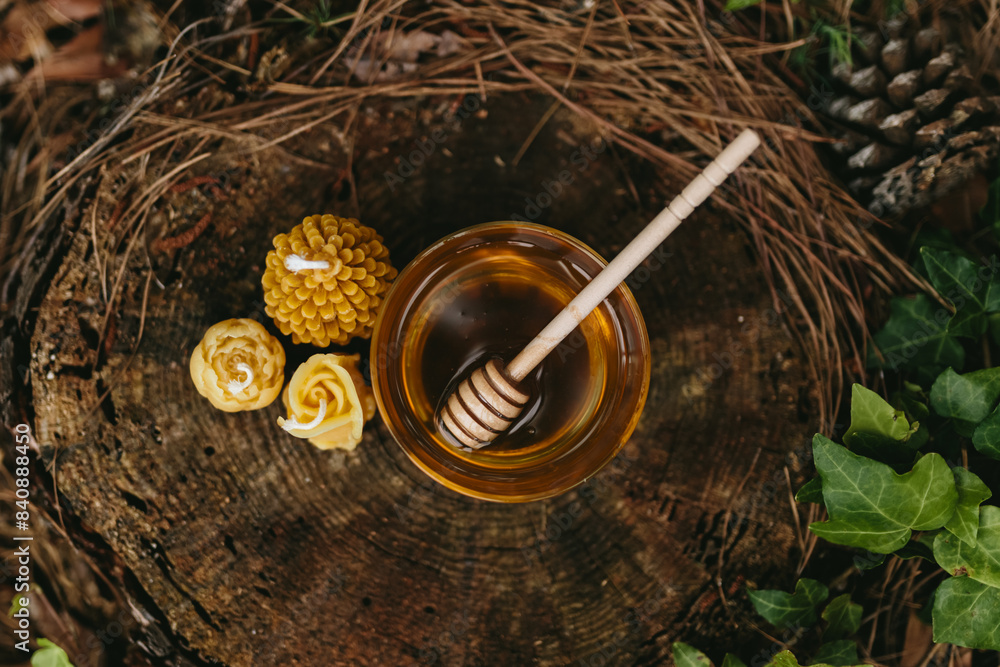 A glass jar and a plate with honey, handmade candles from natural beeswax on an old stump in the forest. Hobby. Picnic in forest. Artistic photo of beekeeping products against the backdrop of nature A glass jar and a plate with honey, handmade candles from natural beeswax on an old stump in the forest. Hobby. Picnic in forest. Artistic photo of beekeeping products against the backdrop of nature