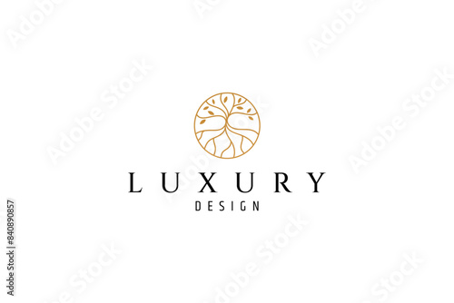 oak tree logo in circle frame line art design style