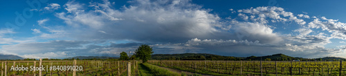 Cuadro en lienzo ampia visuale panoramica di 180 gradi che mostra un bellissimo ambiente naturale