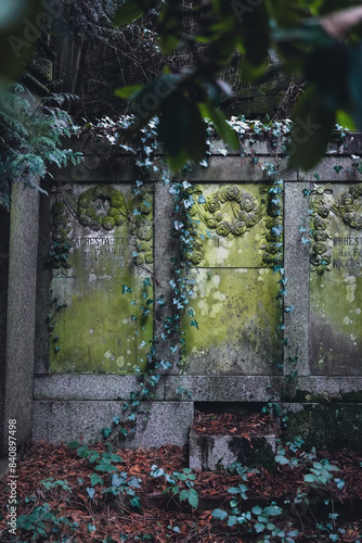 A forgotten tomb, embraced by creeping ivy and the passage of time, whispers stories of the past through its moss-covered engravings