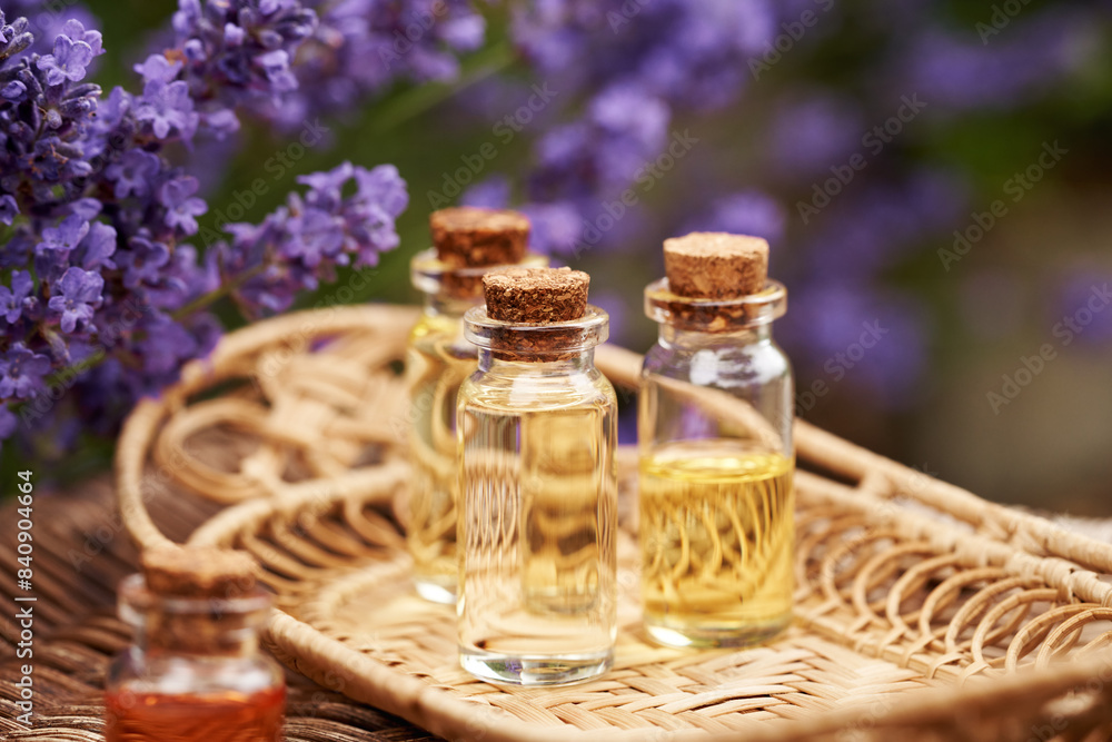Transparent bottles of aromatherapy essential oil with fresh lavender flowers Transparent bottles of aromatherapy essential oil with fresh lavender flowers