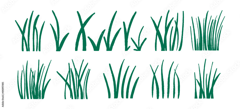 Art set of green grass sprouts drawn with a brush. Vector illustration. Art set of green grass sprouts drawn with a brush. Vector illustration.