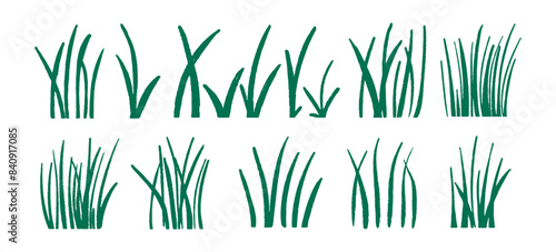 Art set of green grass sprouts drawn with a brush. Vector illustration.