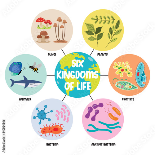 Tableau sur toile Diagram Showing Six Kingdoms Of Life