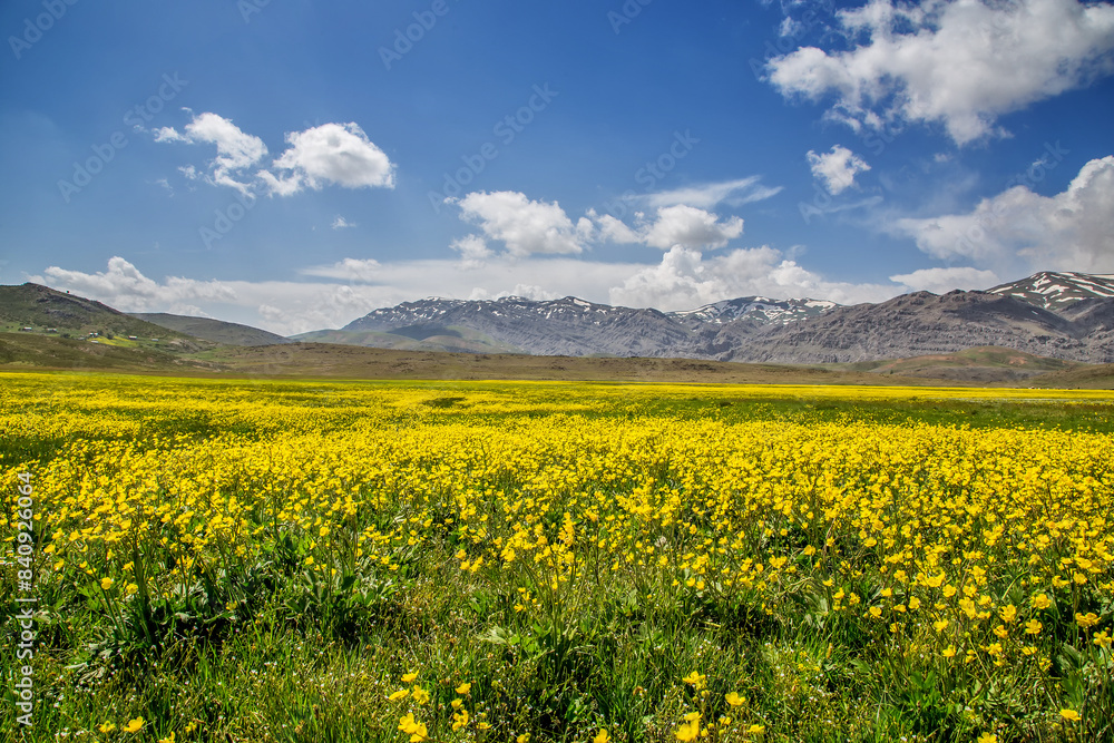 Spring in the mountains of Turkey Spring in the mountains of Turkey