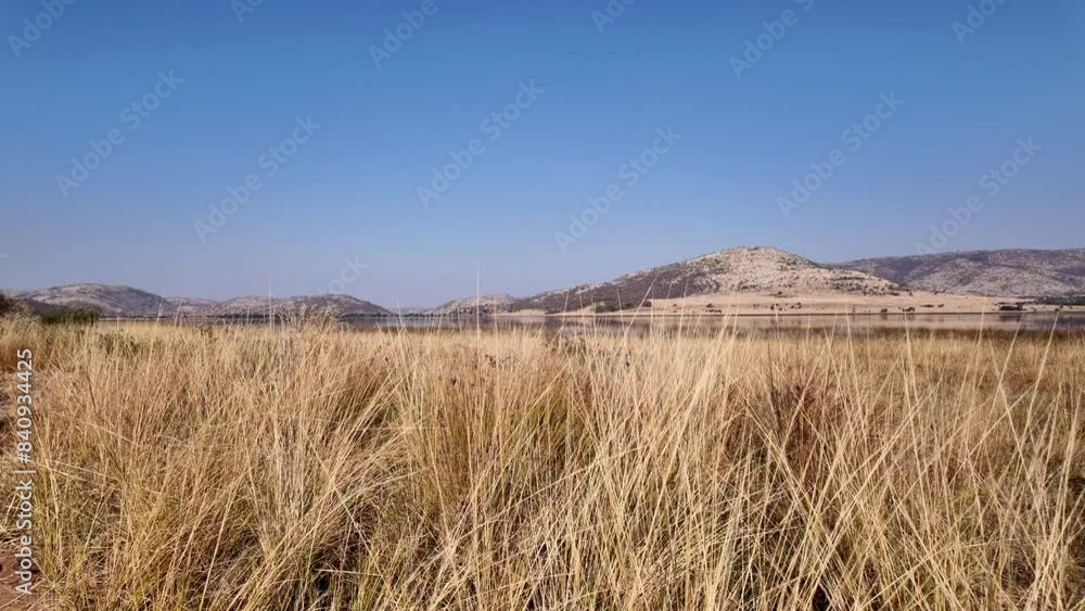 Savannah Skyline At Rustenburg In North West South Africa. African Animals Landscape. Pilanesberg National Park. Rustenburg At North West South Africa. Big Five Animals. Wildlife Safari. Savannah Skyline At Rustenburg In North West South Africa. African Animals Landscape. Pilanesberg National Park. Rustenburg At North West South Africa. Big Five Animals. Wildlife Safari.