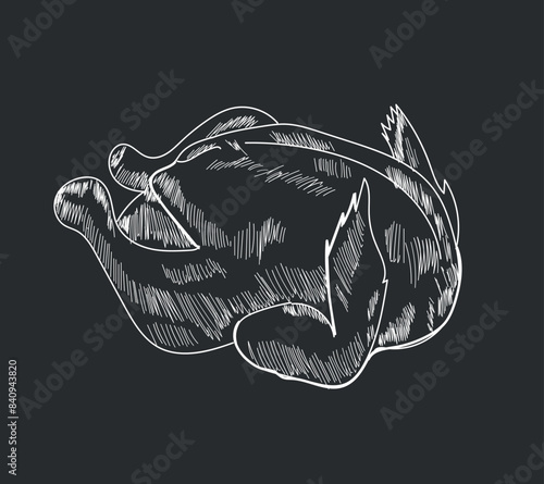 Whole chicken hand drawing vector illustration
