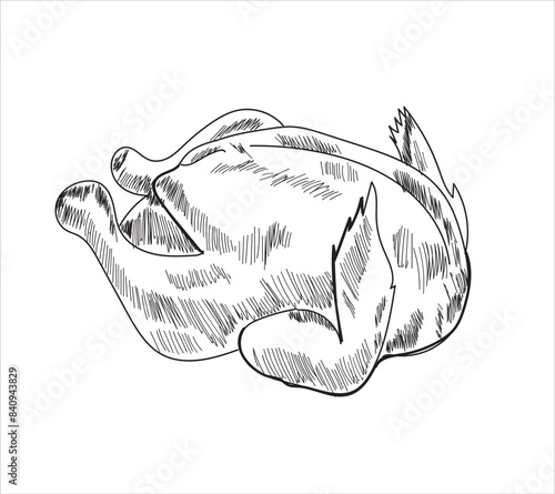 Whole chicken hand drawing vector illustration