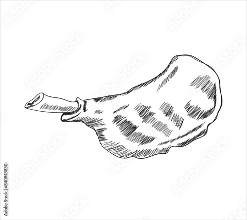Meat parts of the cow,calf,camel. Eid al adha sacrifice, meat vectors