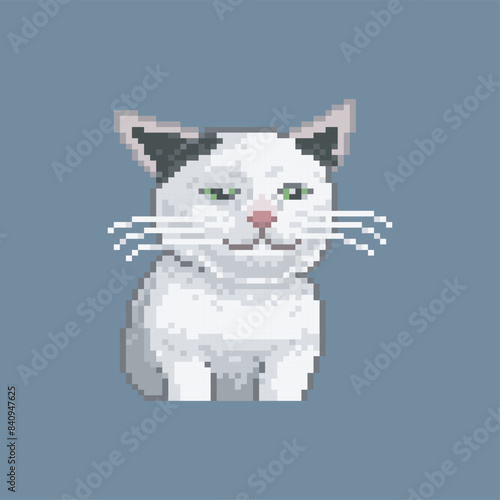 Ugly cat  pixel art meme