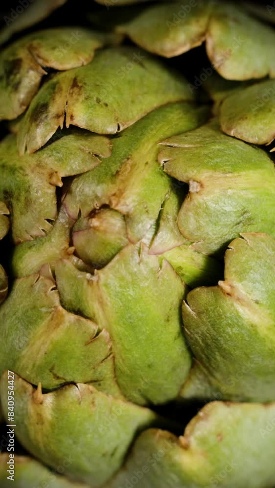 Vertical video. Close-up of Artichoke Plant, Top-down View Rotation. Vertical video. Close-up of Artichoke Plant, Top-down View Rotation.