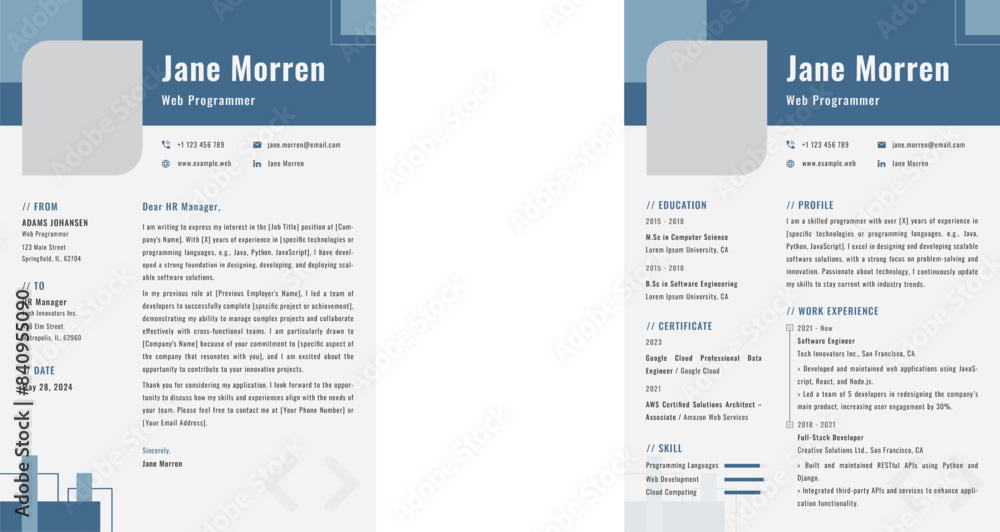 Obraz premium CV Resume Programmer V3