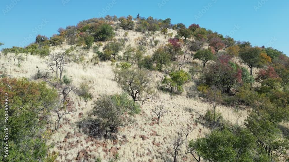 Savannah Skyline At Pilanesberg National Park In North West South Africa. African Animals Landscape. Pilanesberg National Park. Pilanesberg National Park At North West South Africa. Big Five Animals. Savannah Skyline At Pilanesberg National Park In North West South Africa. African Animals Landscape. Pilanesberg National Park. Pilanesberg National Park At North West South Africa. Big Five Animals.