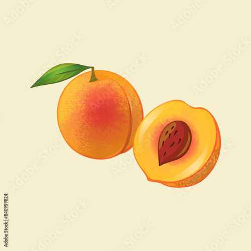 vector illustration of flat peach fruit