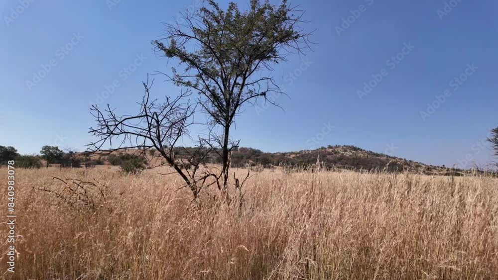 Africa Skyline At Rustenburg In North West South Africa. African Animals Landscape. Pilanesberg National Park. Rustenburg At North West South Africa. Big Five Animals. Wildlife Safari. Africa Skyline At Rustenburg In North West South Africa. African Animals Landscape. Pilanesberg National Park. Rustenburg At North West South Africa. Big Five Animals. Wildlife Safari.