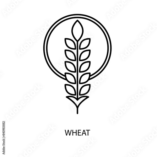 wheat concept line icon. Simple element illustration. wheat concept outline symbol design.