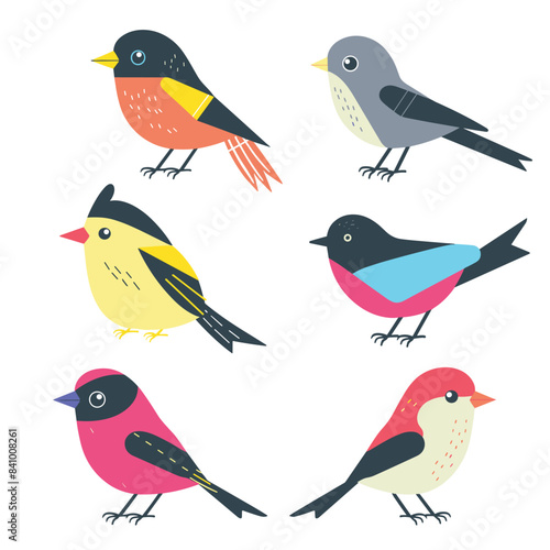 Collection six colorful, stylized birds, illustrated modern, flat design style. Various bird species represented, showcasing different colors such orange, yellow, grey, pink, blue, red. Background