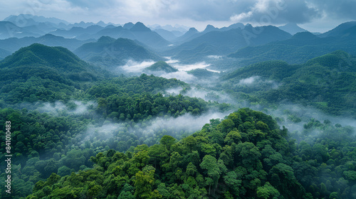 Tropical Rainforest in Xishuangbanna created with Generative AI technology