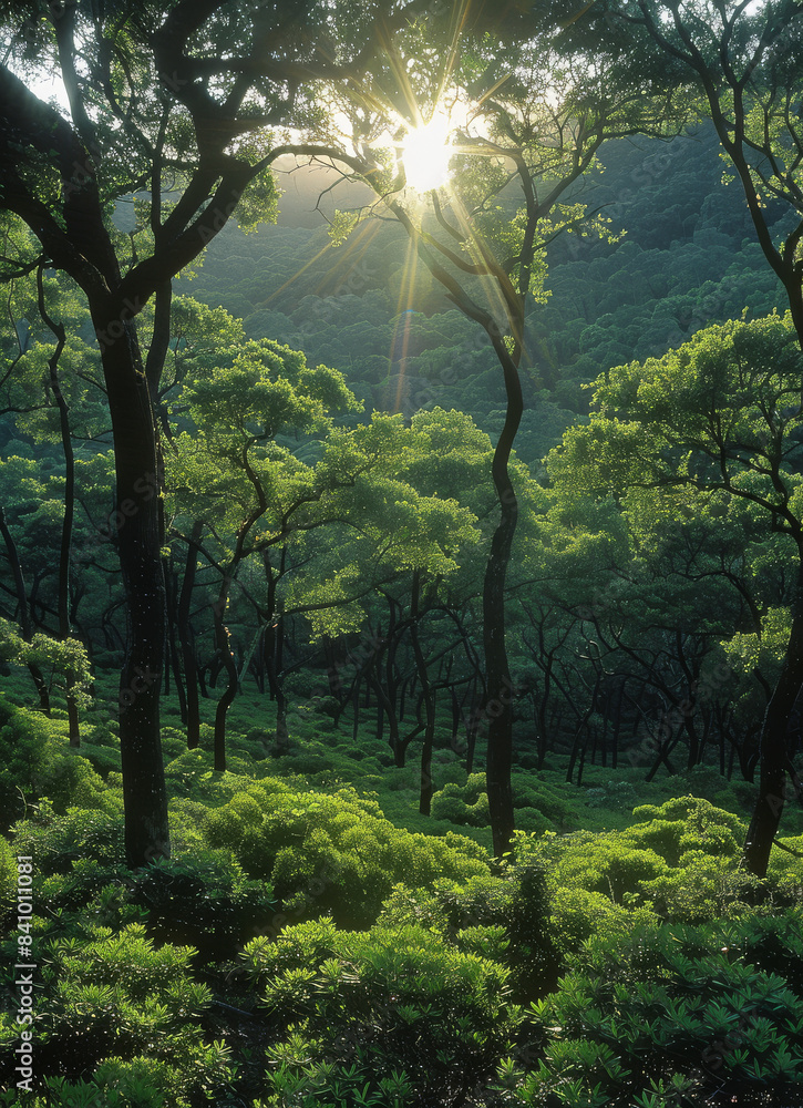 uma floresta de arvores frondosas created with Generative AI technology uma floresta de arvores frondosas created with Generative AI technology