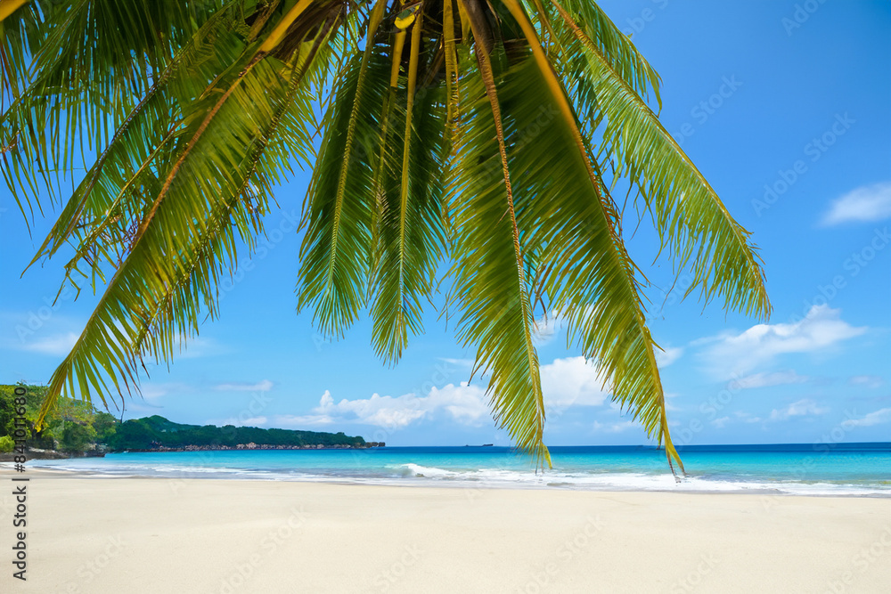 Fototapeta premium Palm Tree on Sandy Tropical Island Beach with Blue Sky and Ocean Waves