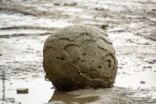 Spherical Boulder on Tongaporutu River - New Zealand photo