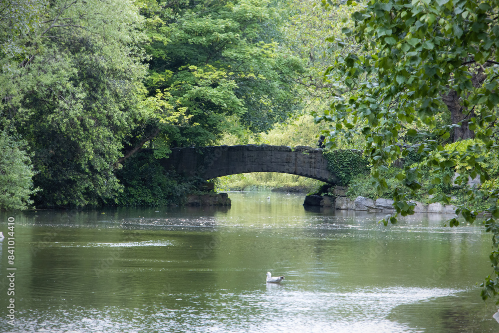 Fototapeta premium the lake and footbridge at st stephens green park, dublin, ireland