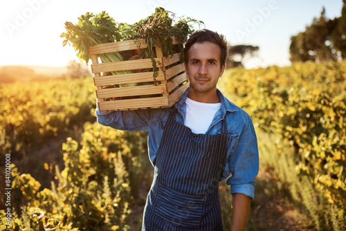 Portrait, harvest and man with plants, vegetables and agriculture with sunshine, green and sustainability. Organic produce, farming or guy with fresh food, summer or nature with nutrition or growth